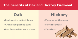 What Is The Best Firewood To Burn For Any Situation