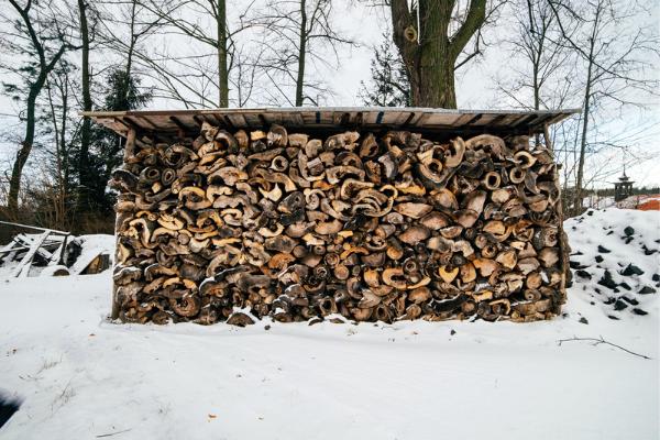 Firewood underneath a makeshift roof in winter