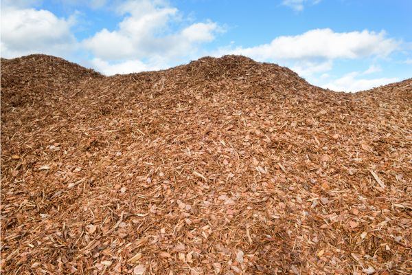 A pile of mulch against the blue sky