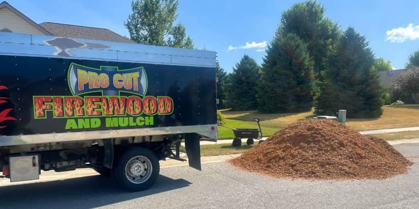 Pro Cut Firewood Rochester Mn: Top Quality Timber Solutions