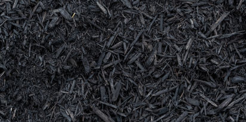 Black Mulch Benefits Up close image of black mulch