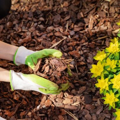 Brown Mulch Guide A person uses brown mulch in their flowerbed