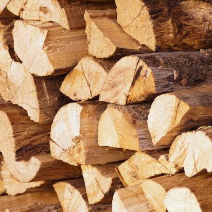 Kiln-Dried Firewood Featured Image A stack of kiln-dried firewood freshly cut