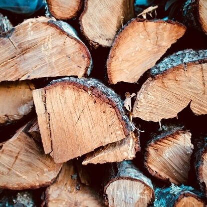 Stack of Oak Firewood