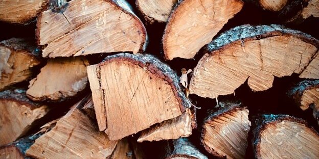 Stack of Oak Firewood
