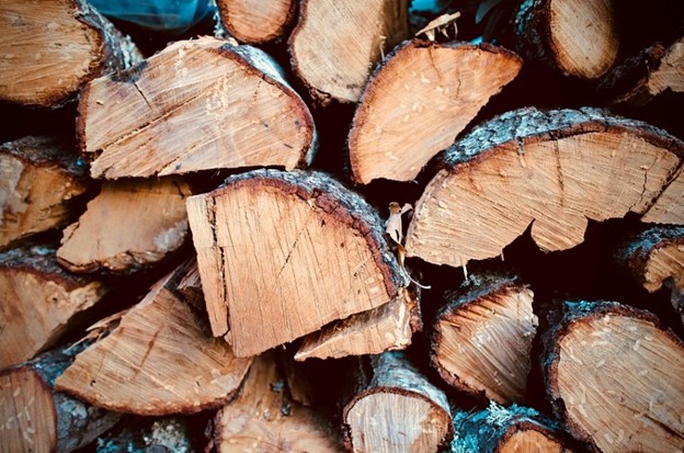 Stack of Oak Firewood