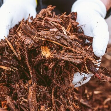 A person wearing gardening gloves is holding handfuls of brown mulch.