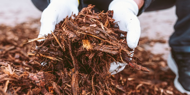 A person wearing gardening gloves is holding handfuls of brown mulch.