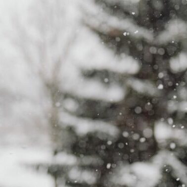 Winter weather needs sidewalk salt