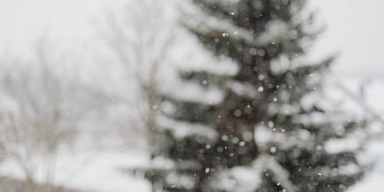 Winter weather needs sidewalk salt