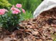 Premium Mulch Delivery