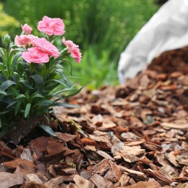 Premium Mulch Delivery