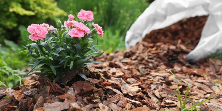 Premium Mulch Delivery